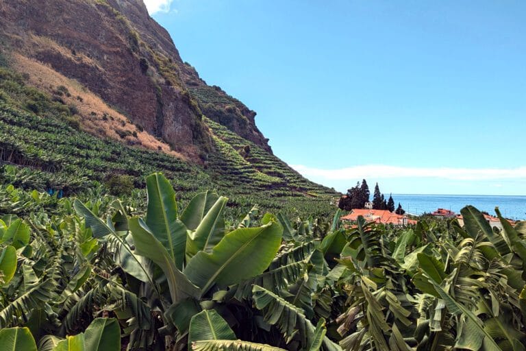 Mountain view in Madalena do Mar surrounded by banana plantations on a sunny day