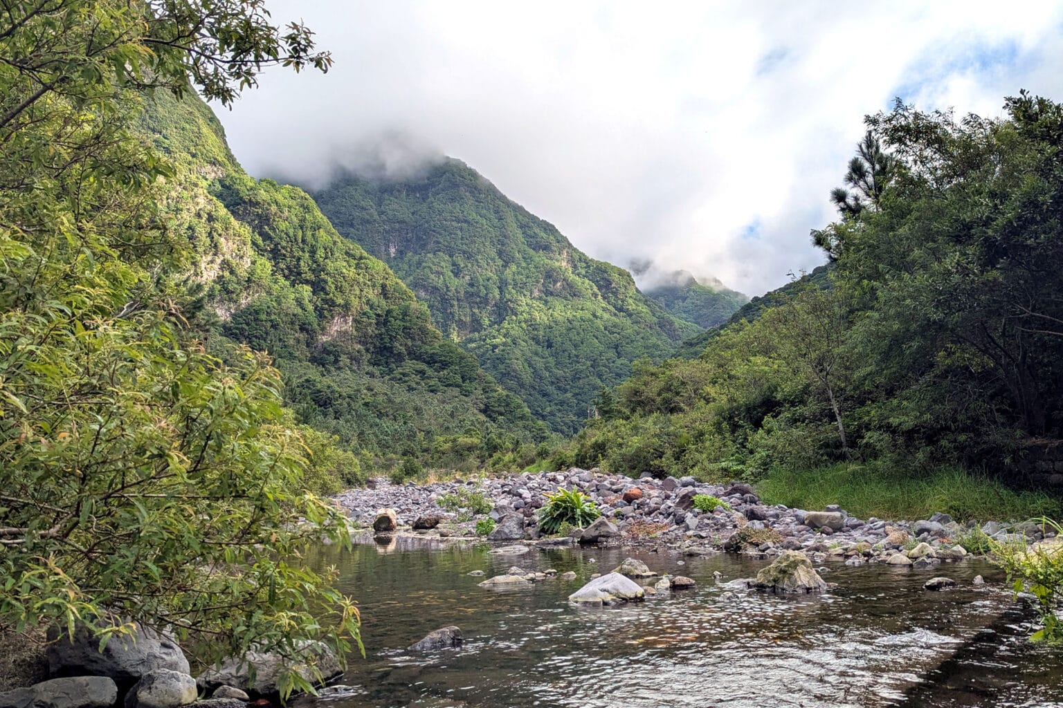 Laurissilva water channel in Chão da Ribeira on a cloudy spring day, with lush green vegetation and water running toward the camera