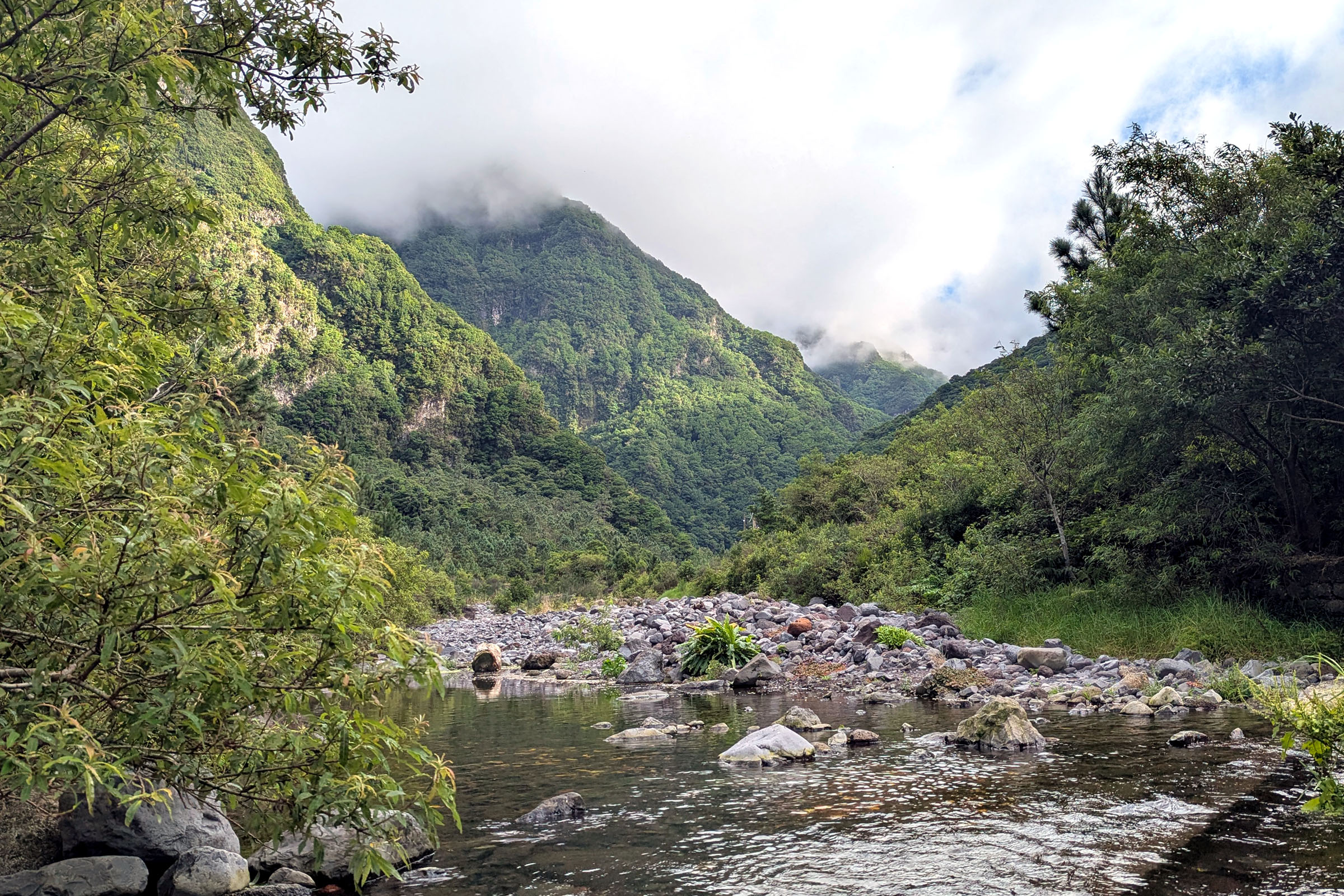 Laurissilva water channel in Chão da Ribeira on a cloudy spring day, with lush green vegetation and water running toward the camera